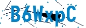 recaptcha