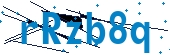 recaptcha