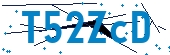 recaptcha