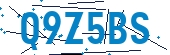 recaptcha